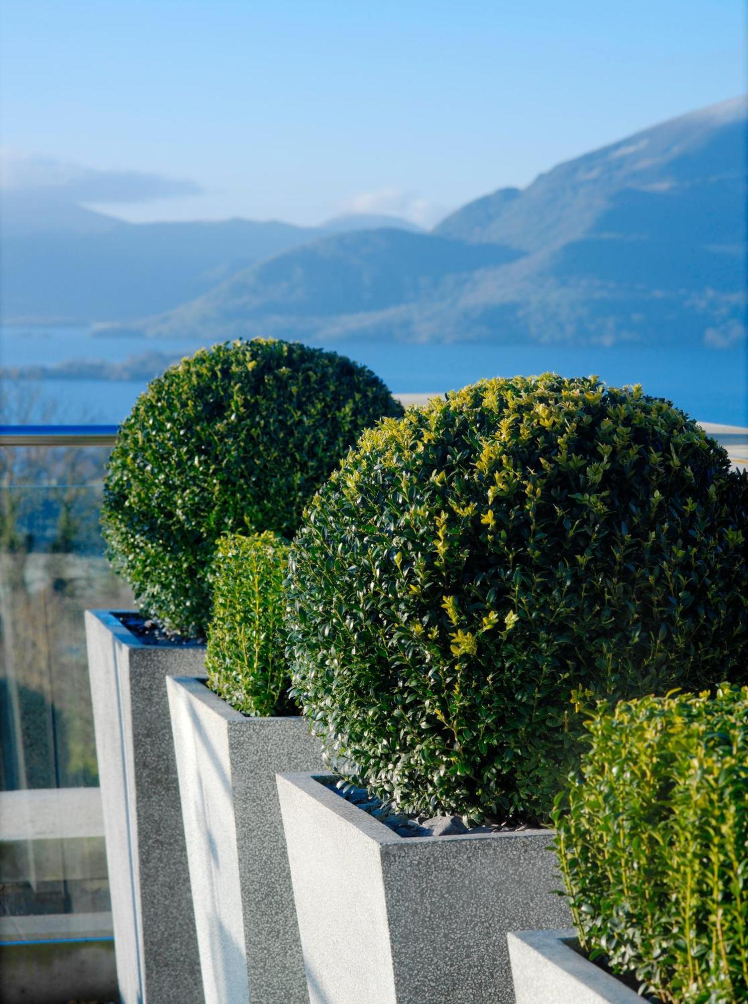 فندق وسبا أغادوي هايتس كيلارني المظهر الخارجي الصورة Boxwood